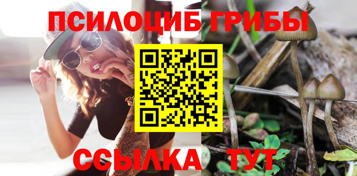 Псилоцибиновые грибы мухоморы  Вход с VPN  Галлюциногенные грибы прущие грибы  Михайловка 